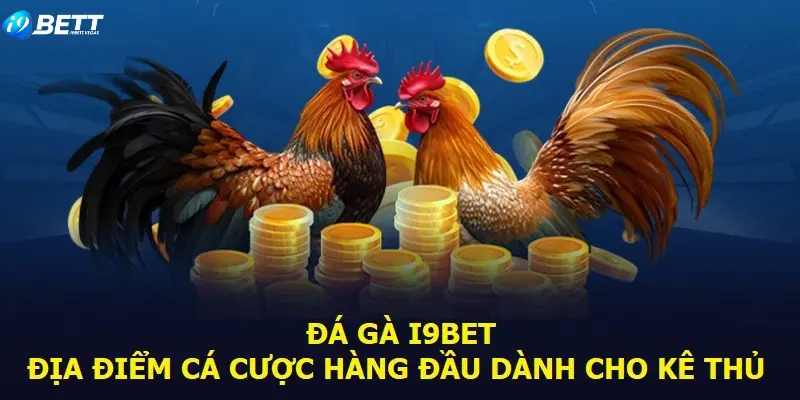 Nguyên tắc đá gà tại I9BET cần nắm