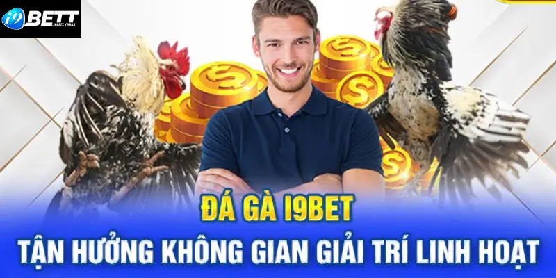 Một số loại hình Đá gà Online I9BET siêu hot cho game thủ