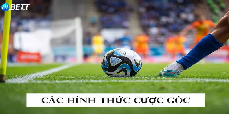 Người chơi có thể đặt cược vào nhiều hình thức cược góc khác nhau